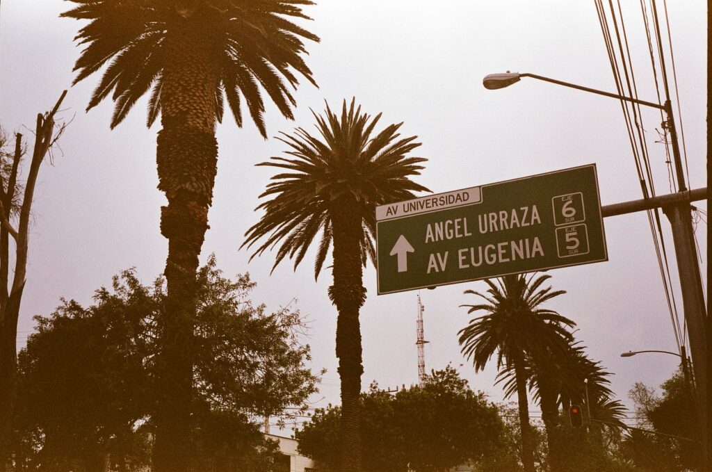 Mexico City road sign with Avenida Universidad, Angel Urraza, Avenida Eugenia, Eje 6 Sur, and Eje 5 Sur above a palm-lined street