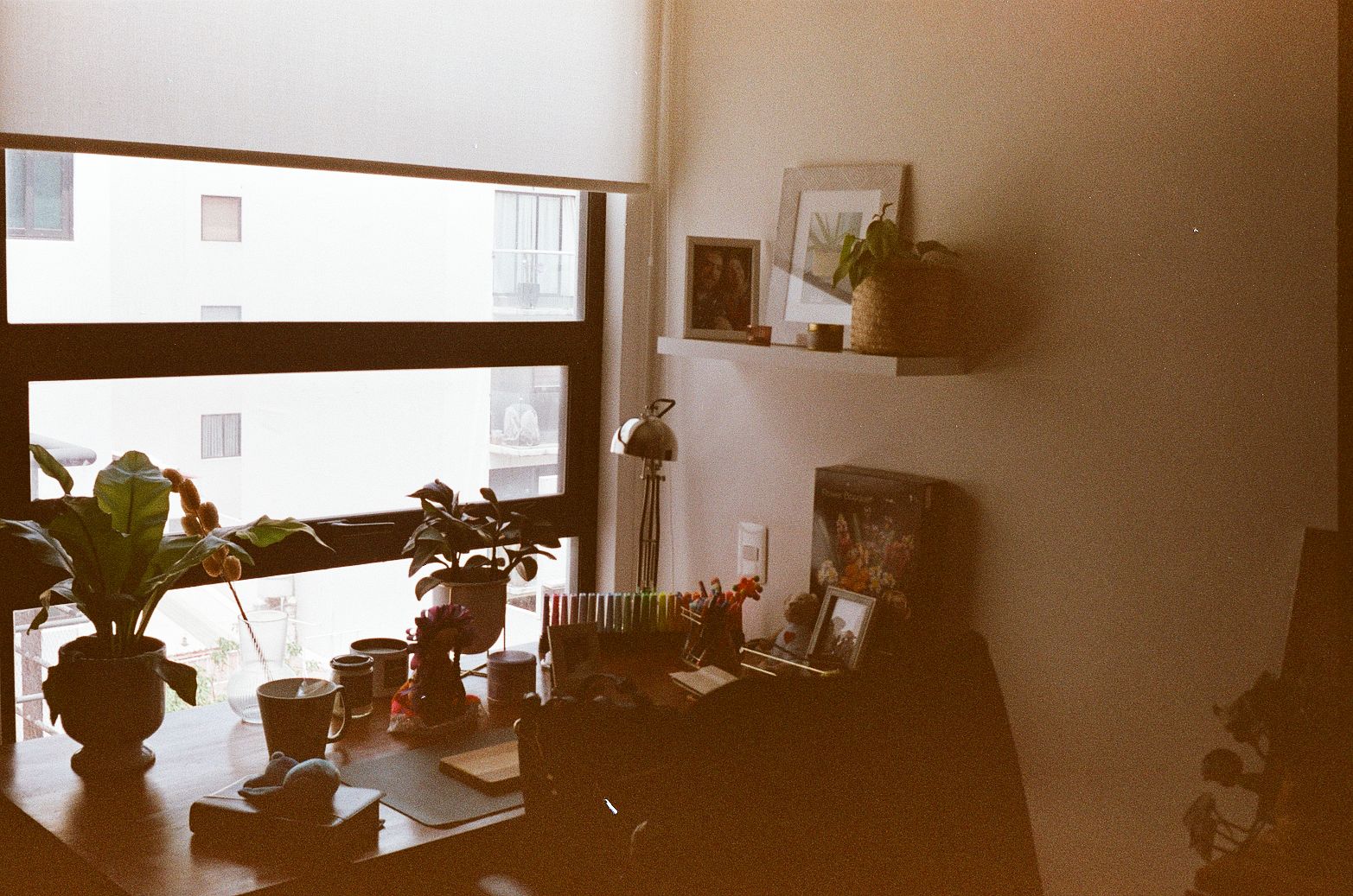 Mexico City apartment interior with desk, plants, and large window facing neighboring building