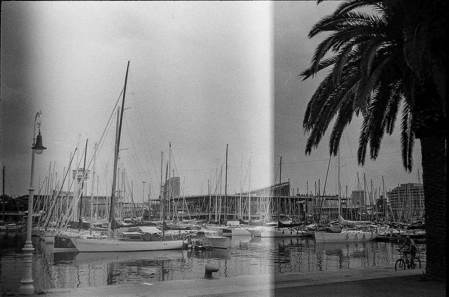 Black-and-white marina scene with many sailboat masts, palm tree, calm water, and a cyclist on the waterfront promenade.