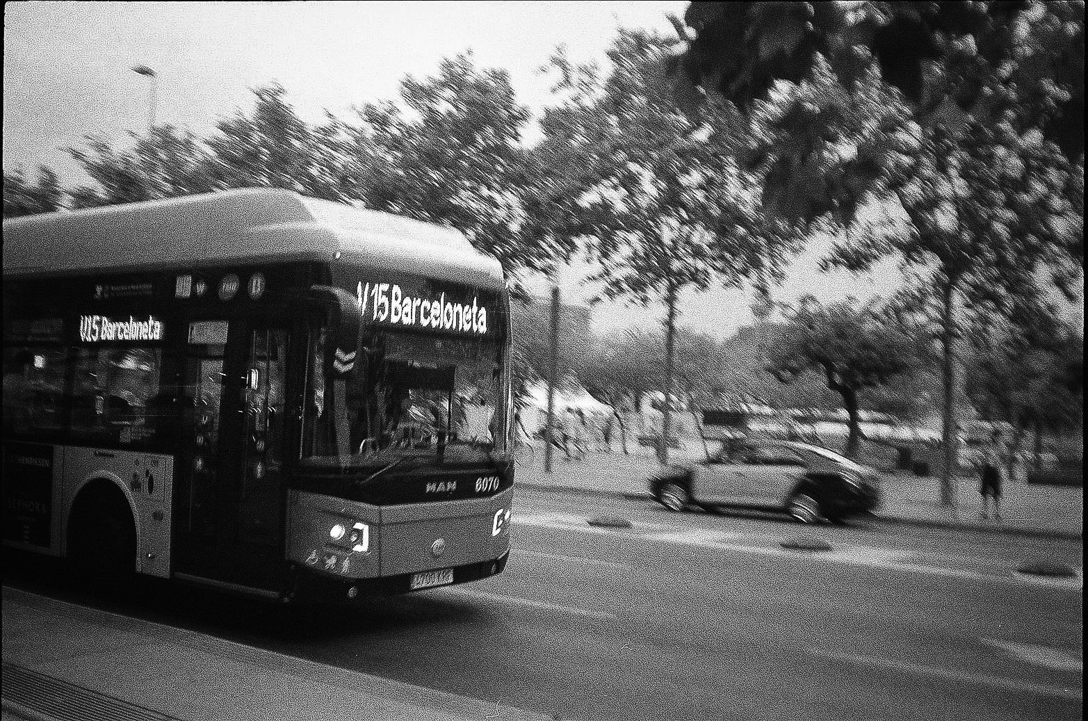 Barcelona city bus with destination sign for Barceloneta on a tree-lined street
